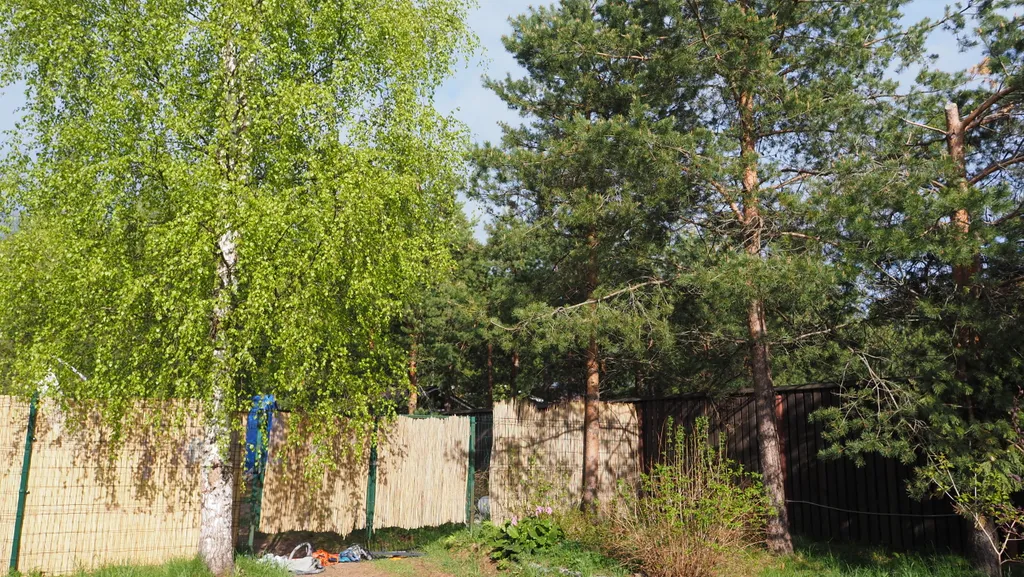 Северная вилла