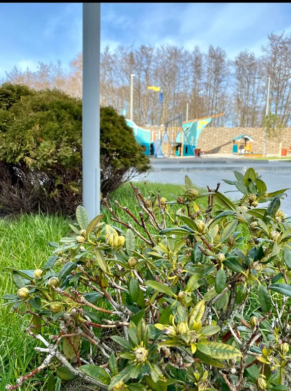 Уютная квартира у моря