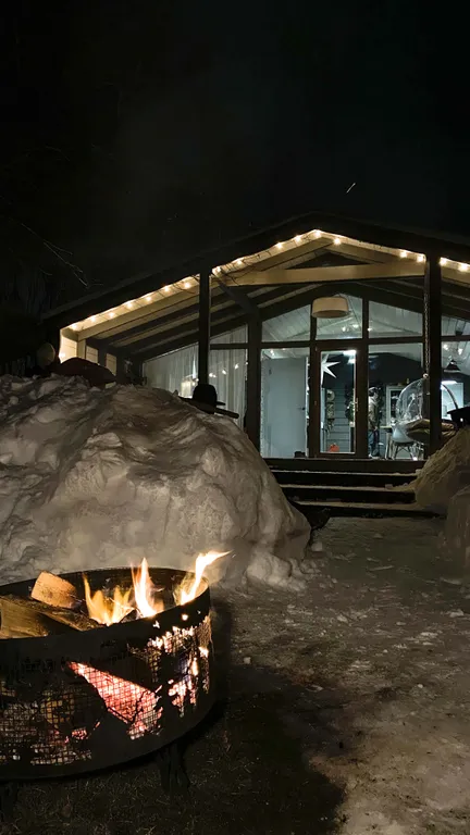 Дубльдом в сoснaх