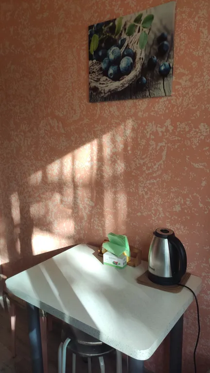 Уютная однокомнатная квартира