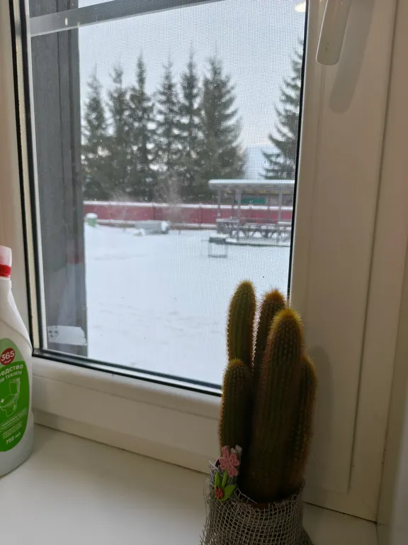 Студия в загородном доме