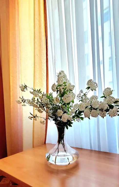 Квартира Комната — Адлер