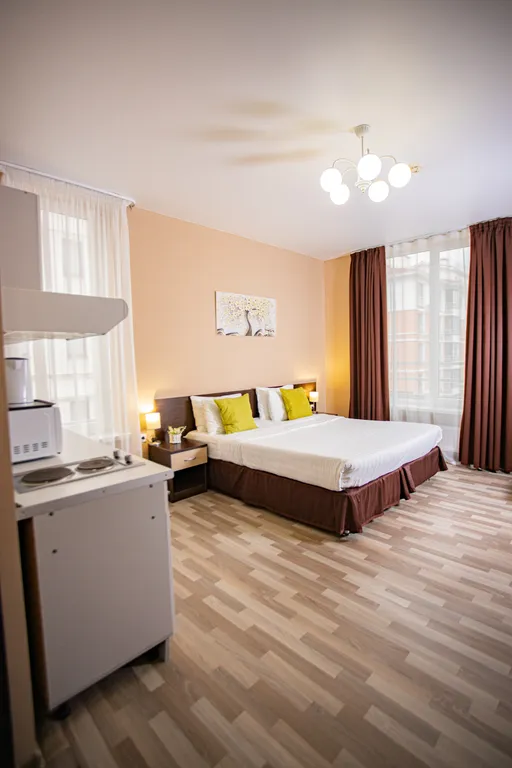 Апартаменты- Чистые пруды