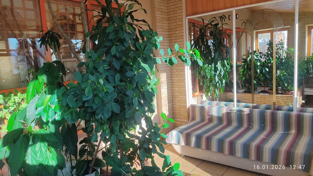 Уютный дом на опушке леса