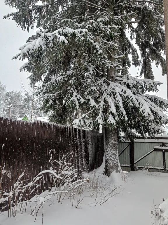 Красивый уютный дом у озера