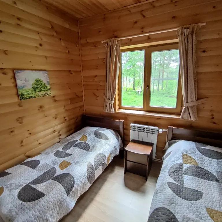 Дом на берегу озера с панорамным видом на лес