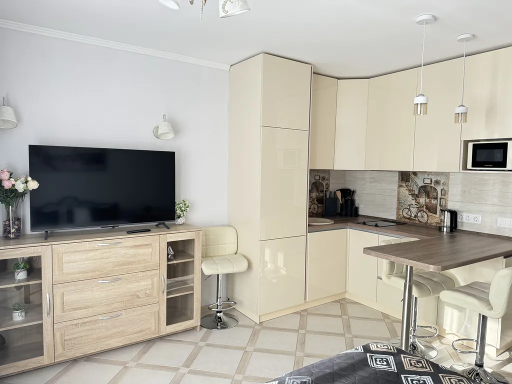 Квартира Квартира студия в Песочном — Песочный