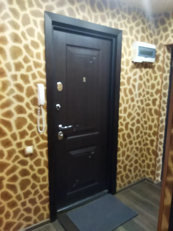 Квартира около Александровской больницы