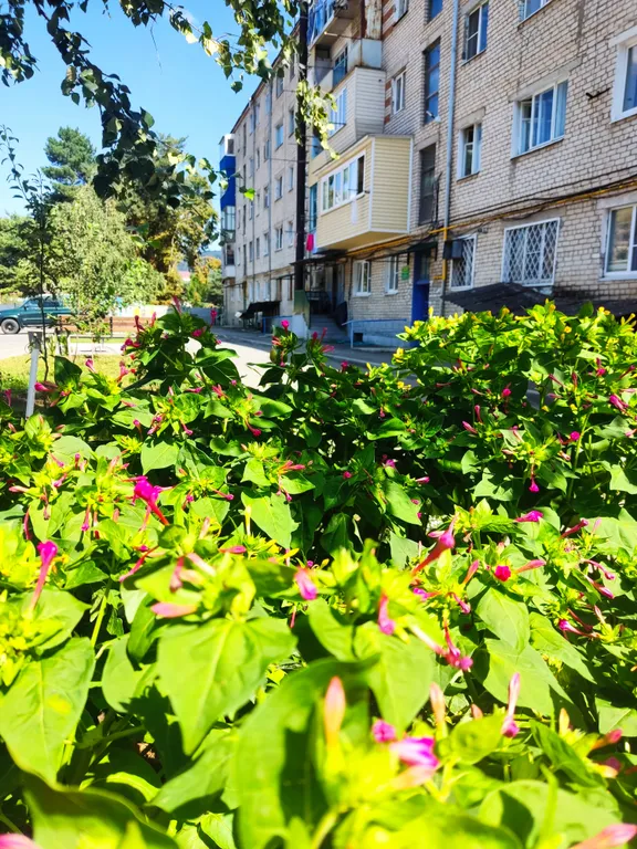 Уютная квартира в центре города — аренда посуточно в Карачаевск