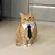 Куан