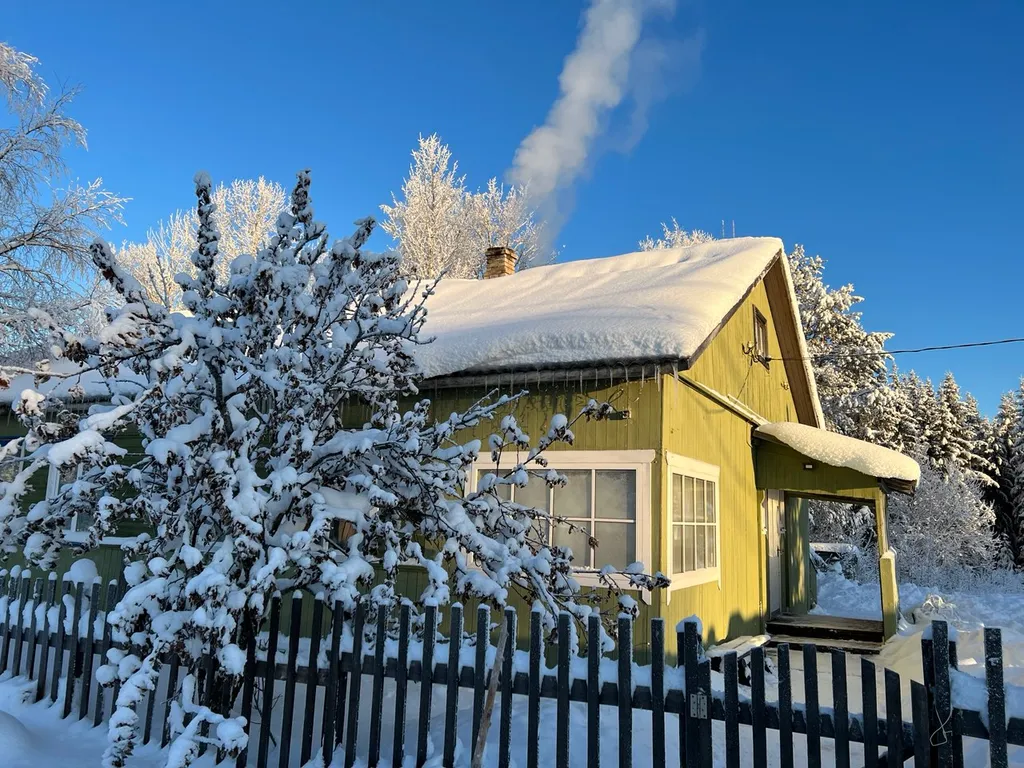 Дом с баней у леса