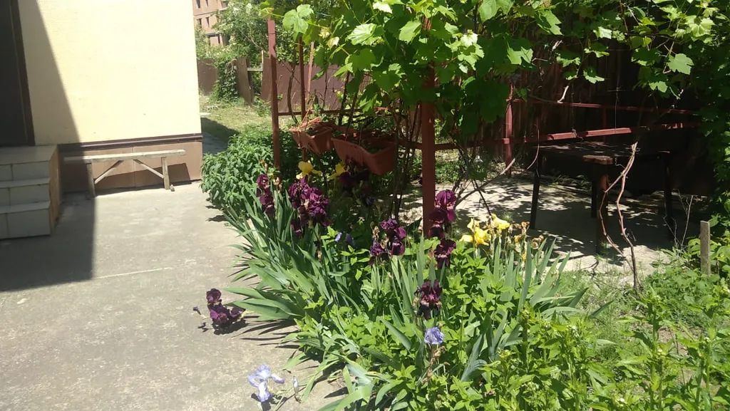 Квартира Квартира возле Пионерского проспекта рядом п. Джемете — Анапа