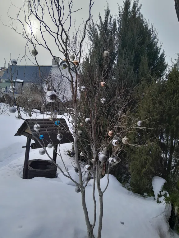 Коттедж Коттедж Сосновый бор и озеро — Нижний Новгород