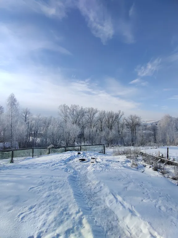 Дом на берегу Катуни