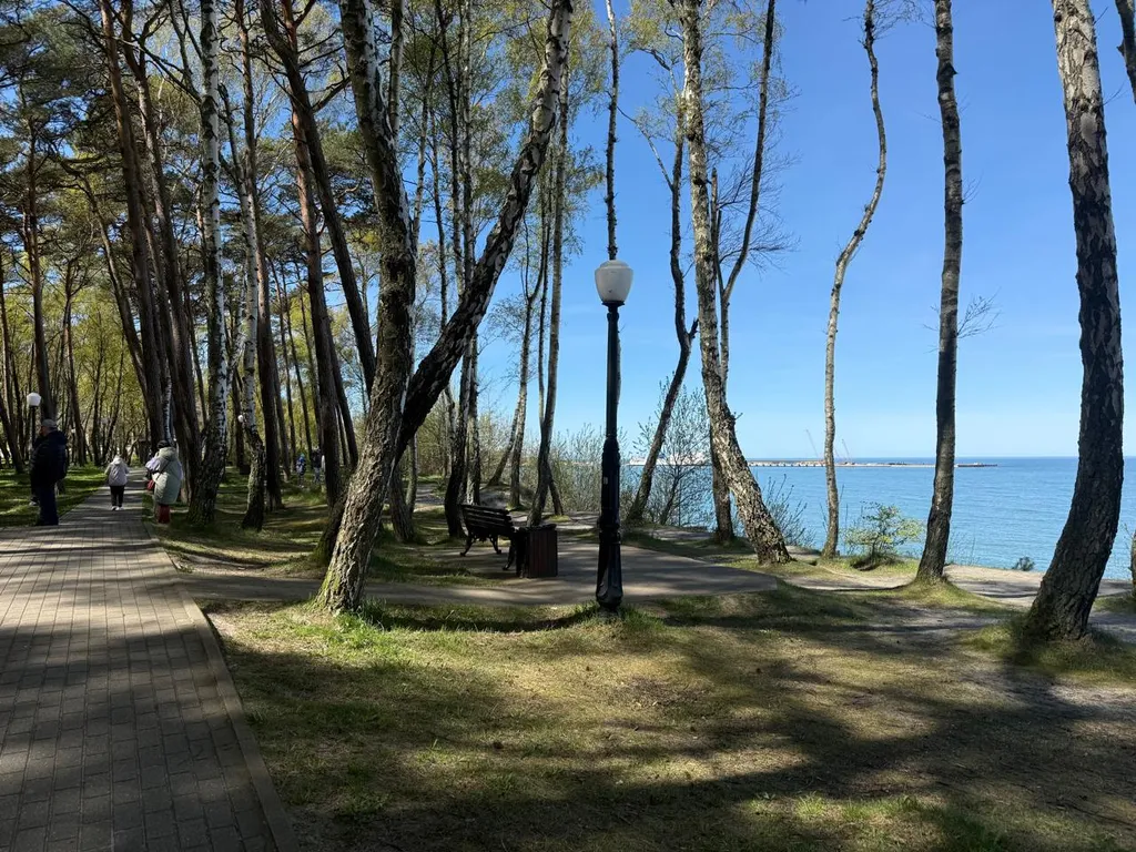 Квартира Уютная квартира с видом на море — Пионерский