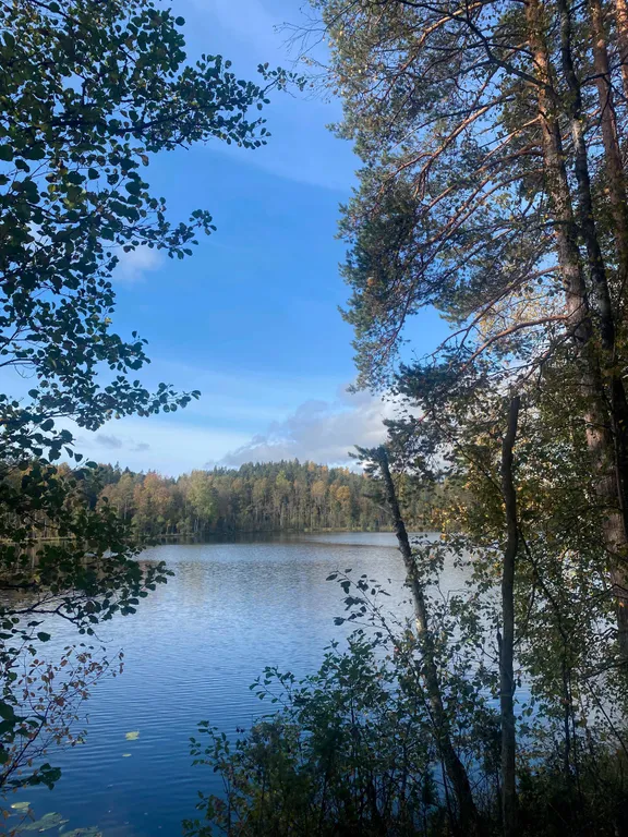 Дом в окружении заповедного леса у подножия горы Варамяки