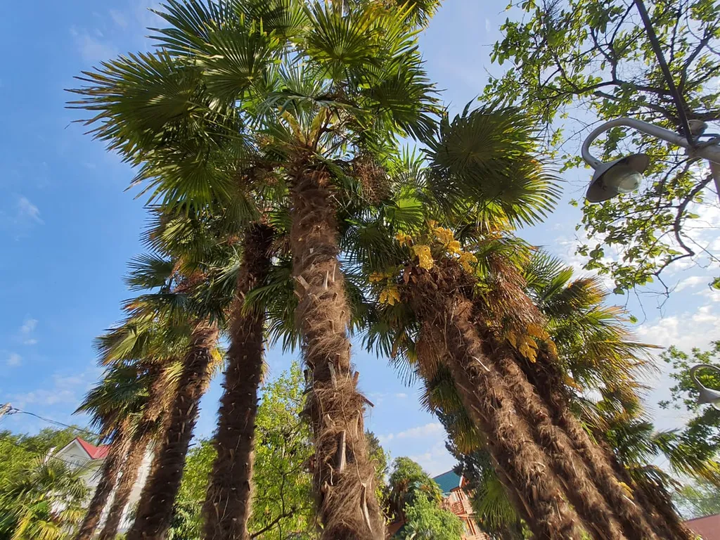 Дом на море