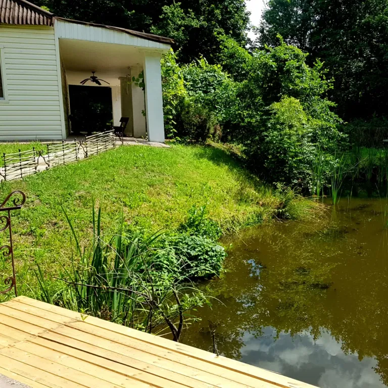 Усадьба Домик у пруда