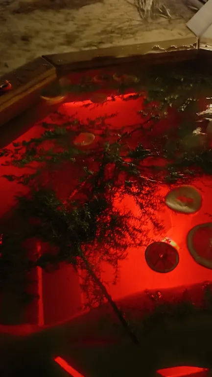 Уютный дом в тишине