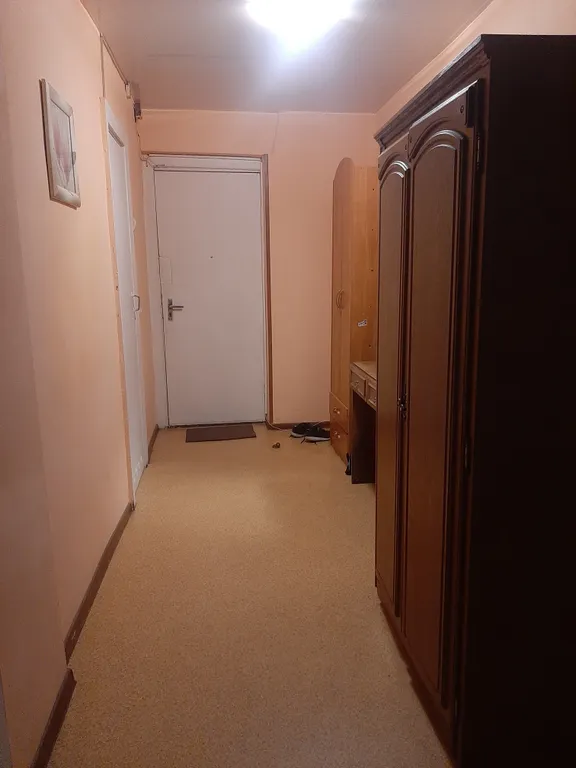 Квартира в центре города у Нижнего пруда - исторический центр