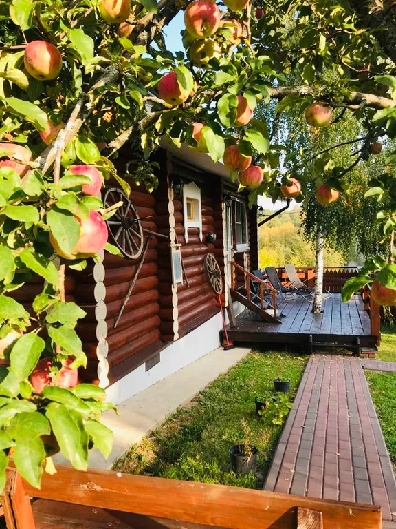 Дом из бревна Терем с сауной в черте города