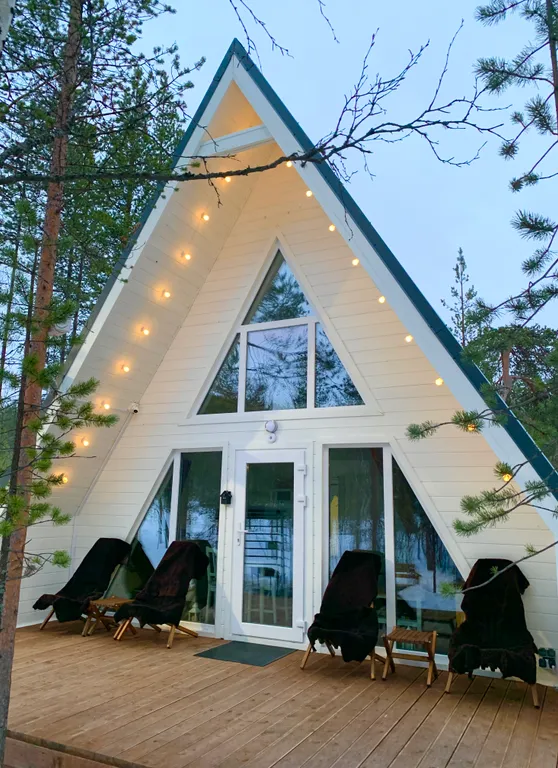 Современный дом в сосновом лесу