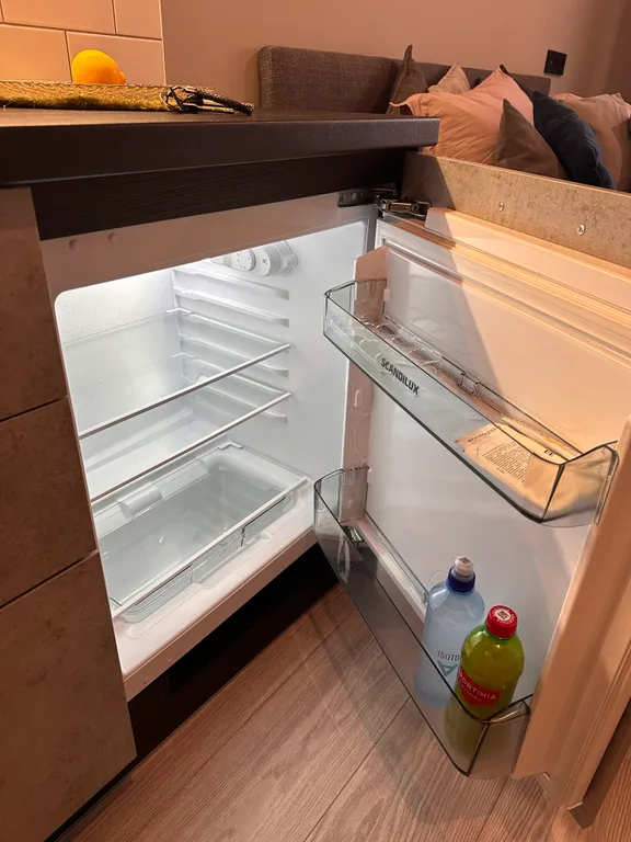 Студия на Новый Год в Курортном районе