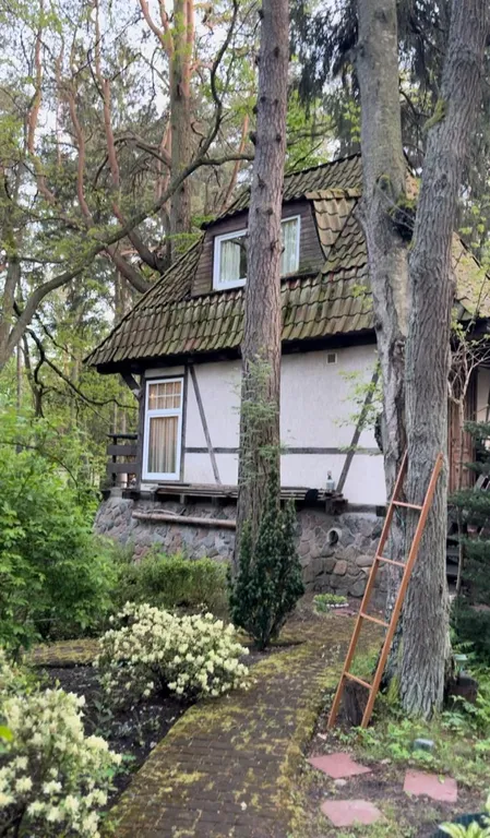 Домик лешего