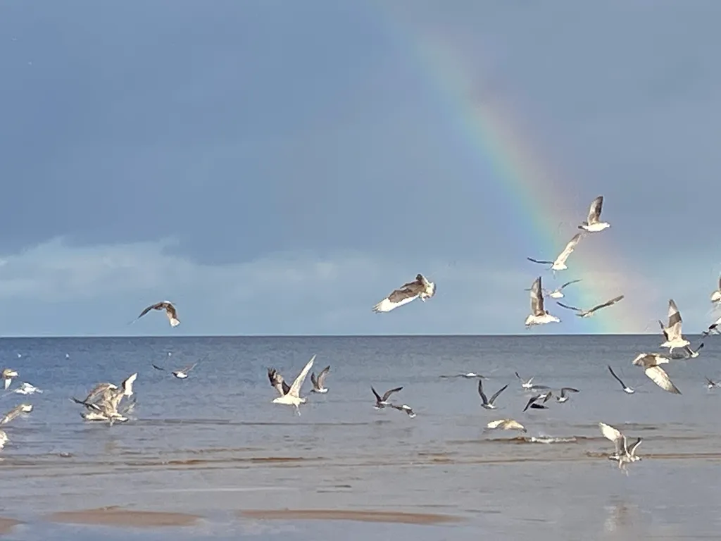 Коттедж Коттедж на Ладоге в устье реки Морье — Морье