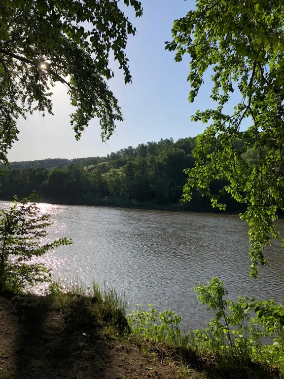 Квартира Современная квартира на берегу реки — Новосибирск