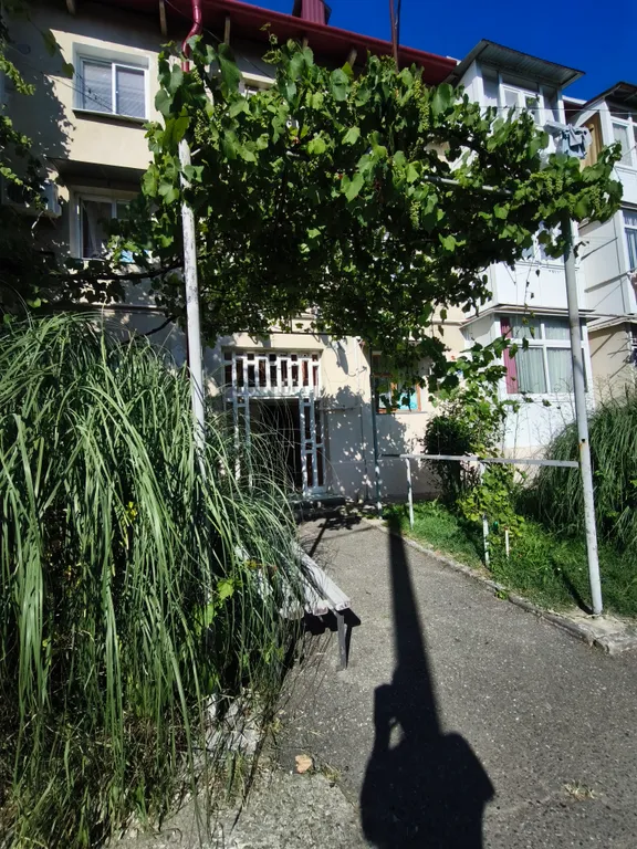 Квартира в уютном, спокойном и живописном месте