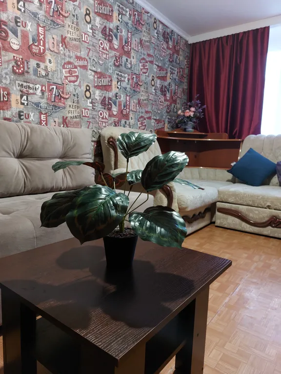 Семейная квартира на Истоке