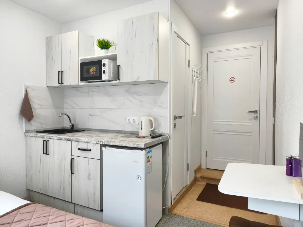 Квартира - студия "2 Весны"