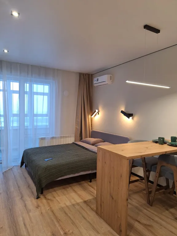 Квартира Квартира Уютная студия с видом на реку — Барнаул