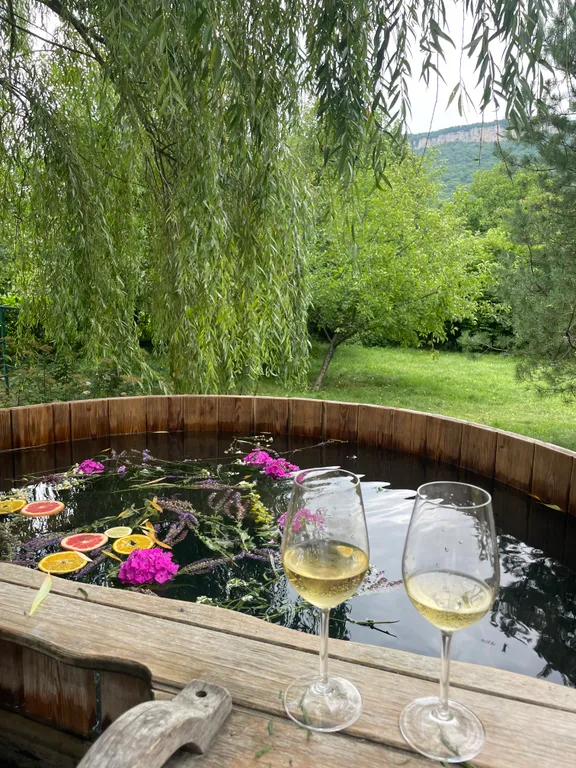 Барнхаус с чаном и бассейном