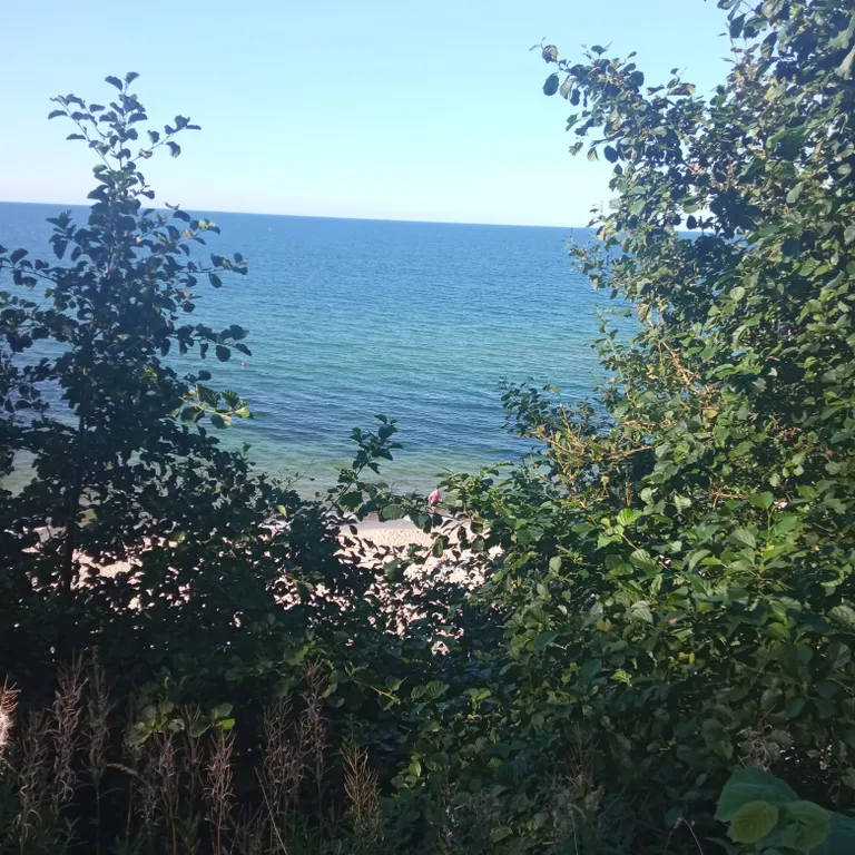 Уютная квартира первой линии Балтийского моря