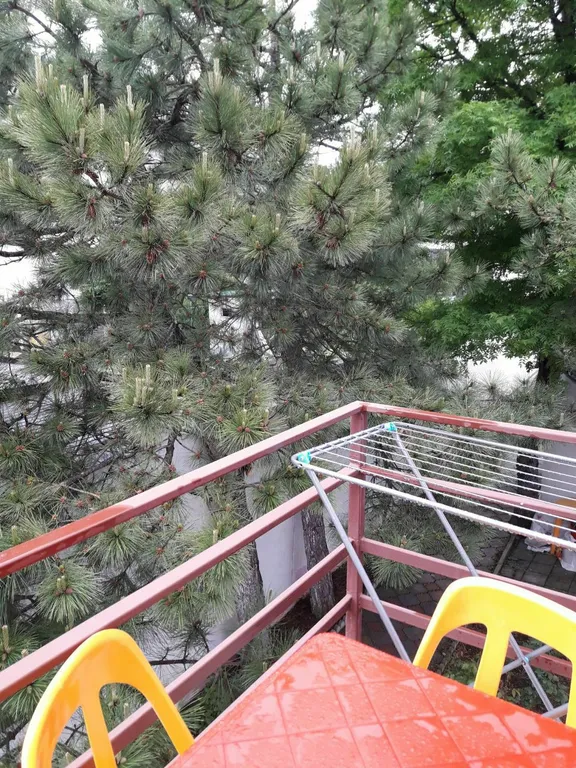 Семейный номер с видом на горы