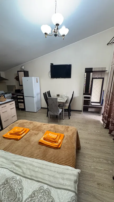 Квартира 1-комнатная Квартира — Сириус