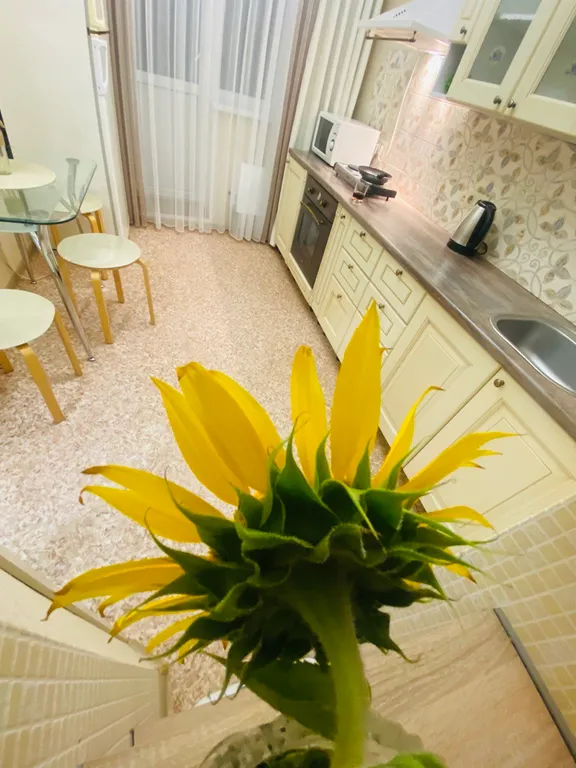 Квартира Чистая, уютная квартира в элитном ЖК рядом с лесным массивом — Воронеж