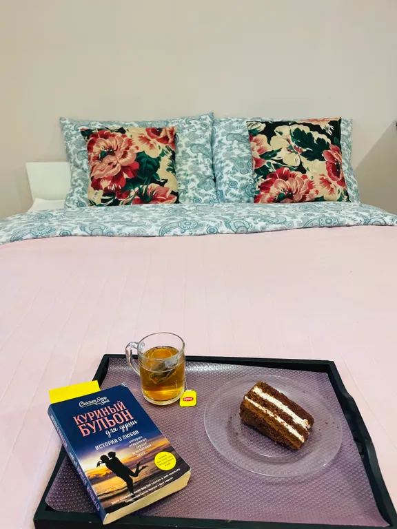 Уютная студия у метро Девяткино