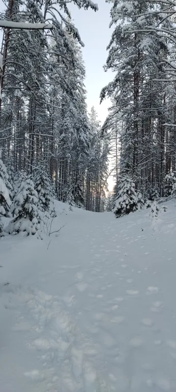 Гостевой дом