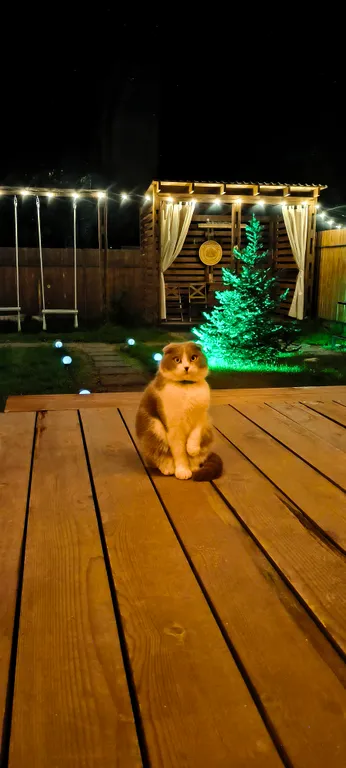 Шале в стиле Афрейм с индивидуальной территорией