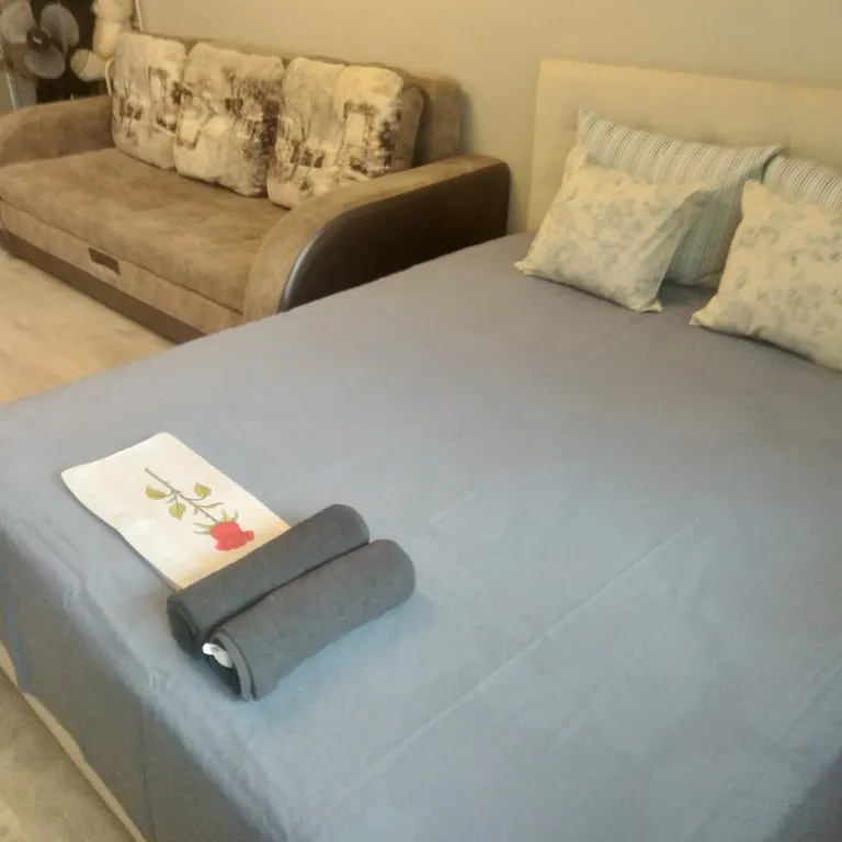 Уютная квартира-студия