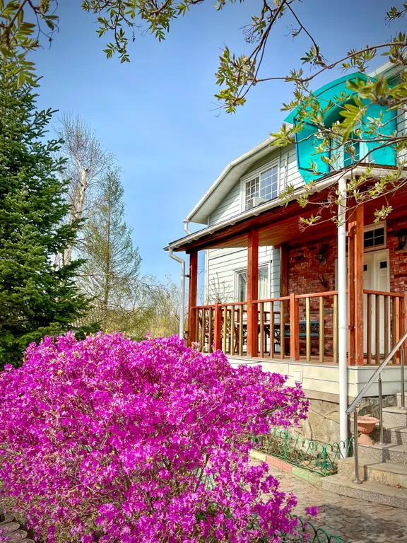 Дом отдыха и развлечений American House