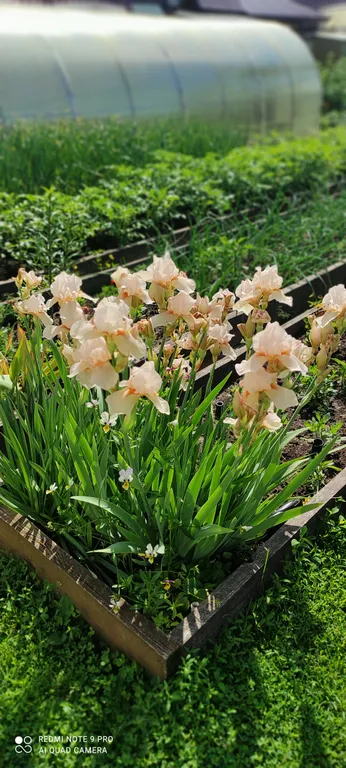 Частный дом Валентина