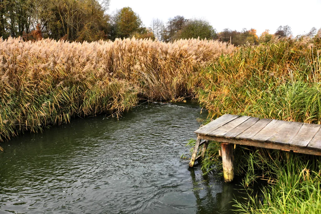 Дом с камином