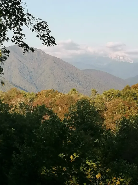 Уютная евродвушка Каравелла Португалии с бассейном на берегу моря