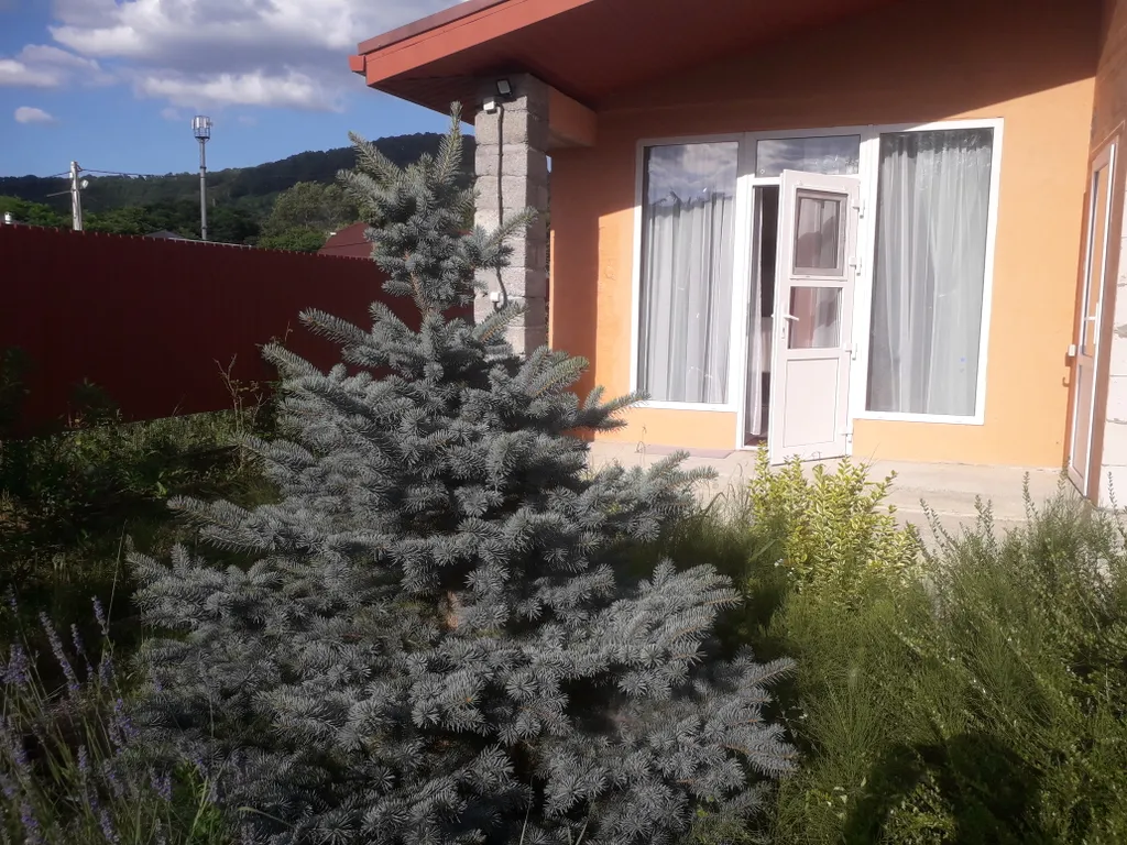 Дом в горах