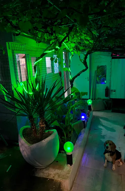 Коттедж Домик под ключ со двором — Сочи