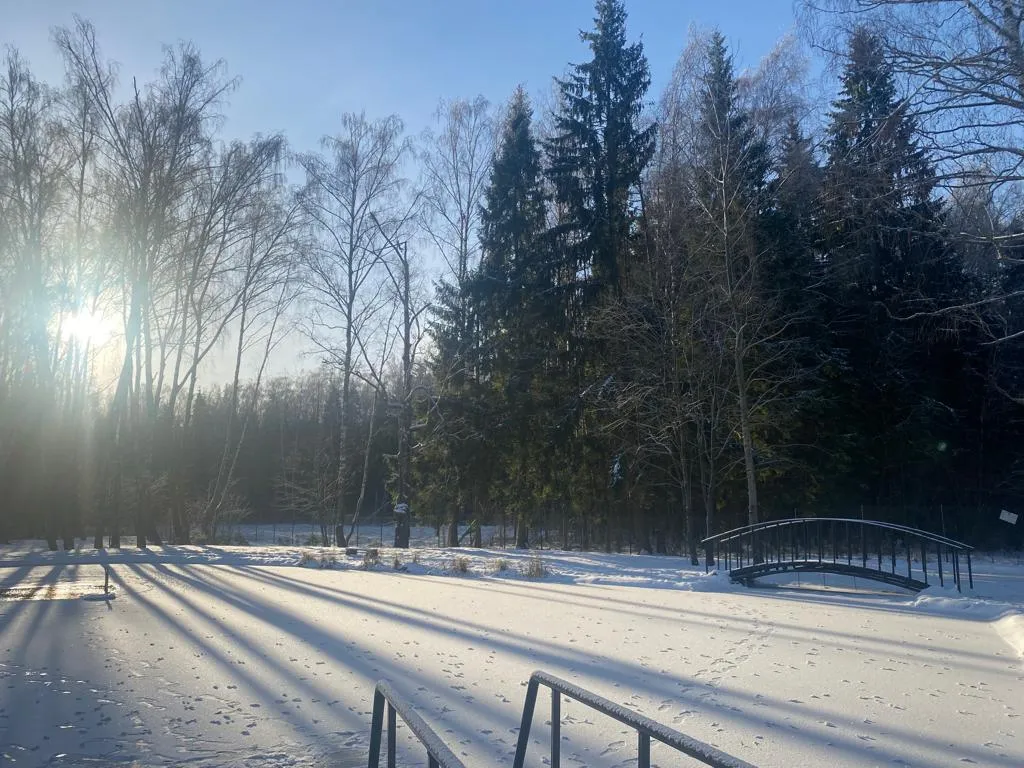 Уютный домик в лесу у пруда